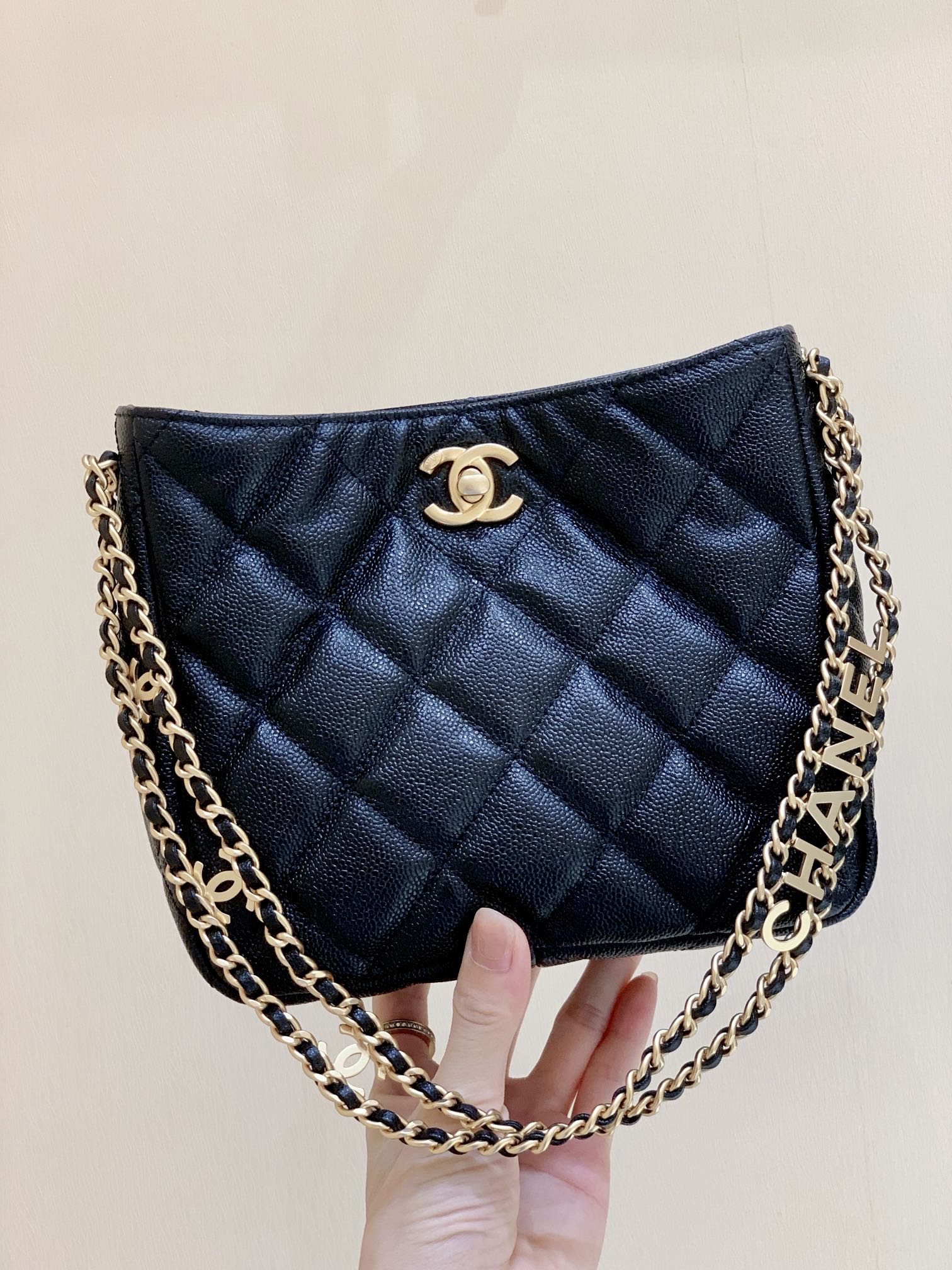 Chanel 2022cc Spring/Summer Collection Hobo Underarm Bag AS3223