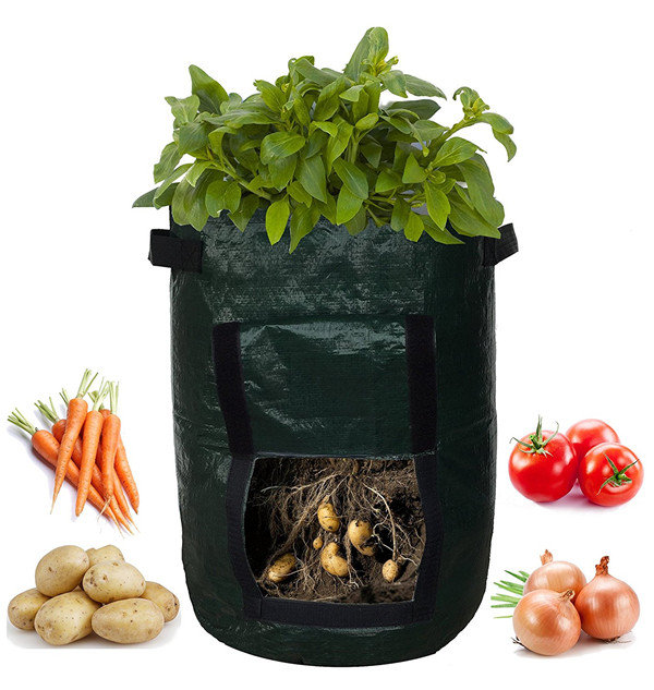 (🔥Last Day Promotion-SAVE 50% OFF)10 Gallons Large Capacity Vegetables Grow Planter PE Container Bag-BUY 4 GET 10% OFF & FREE SHIPPING