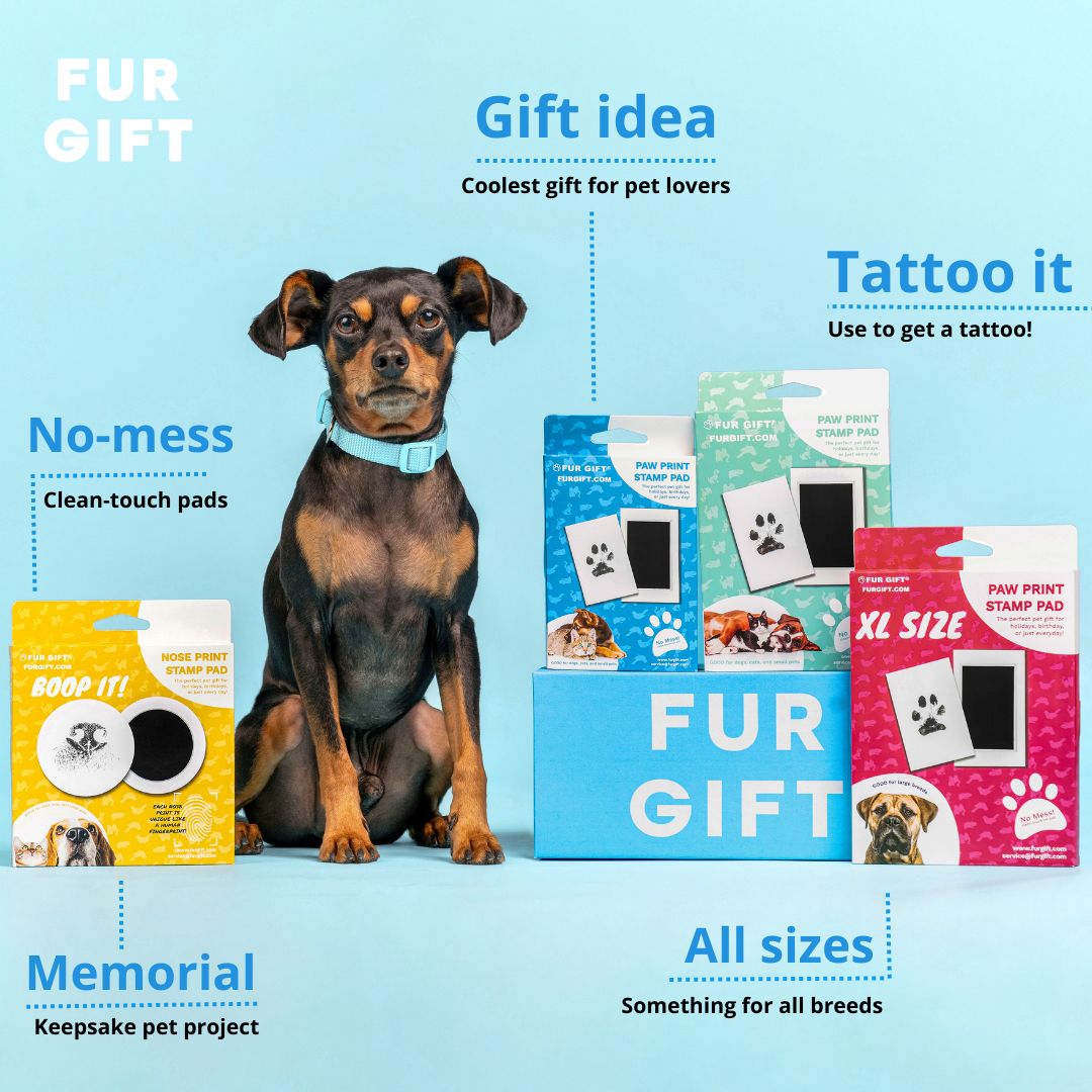 🐶Summer Hot Sale - 49% OFF 🐱Paw Print Stamp Pads