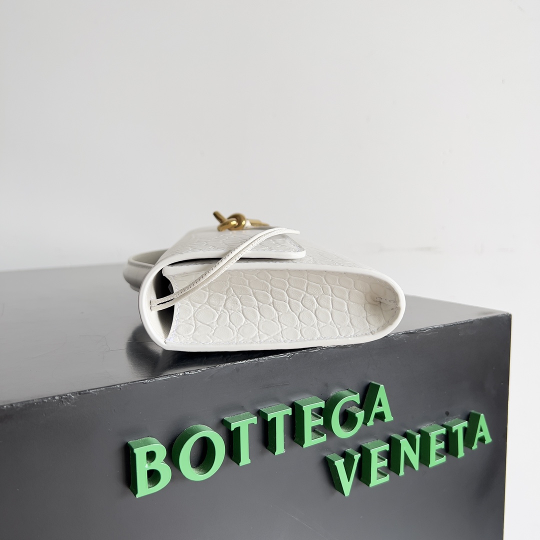 Bottega Veneta Andiamo rare crocodile leather handbag 741511
