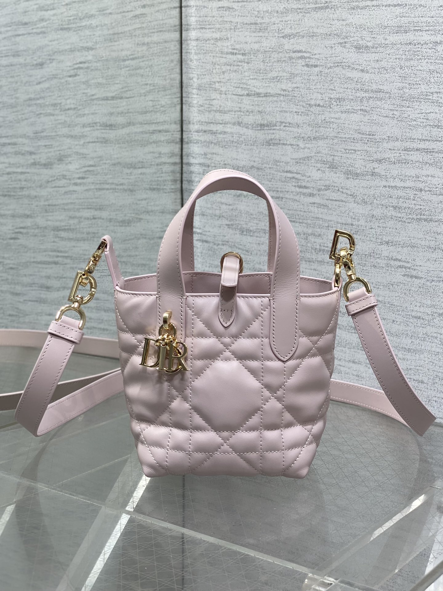 Dior Toujours vertical series mini