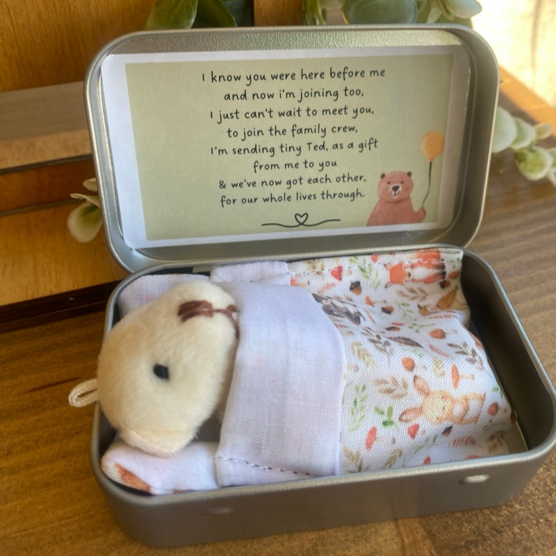 Sibling Teddy in a Tin | Idea gift