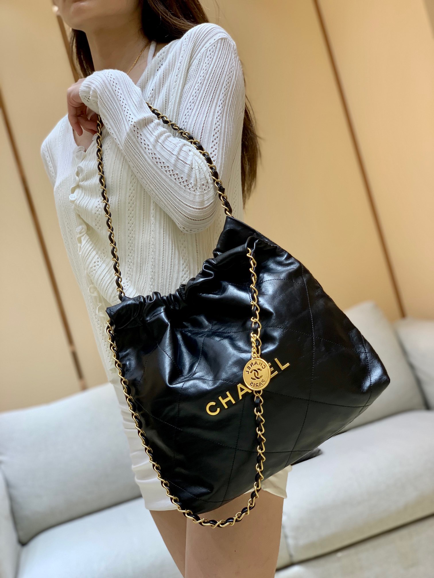 Chanel 2022cc Spring/Summer Collection Handbag AS3260