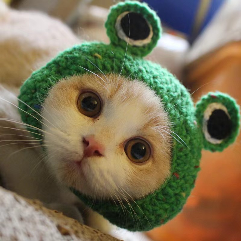 2024  King Cat Costume🔥(Last Day to Sell)
