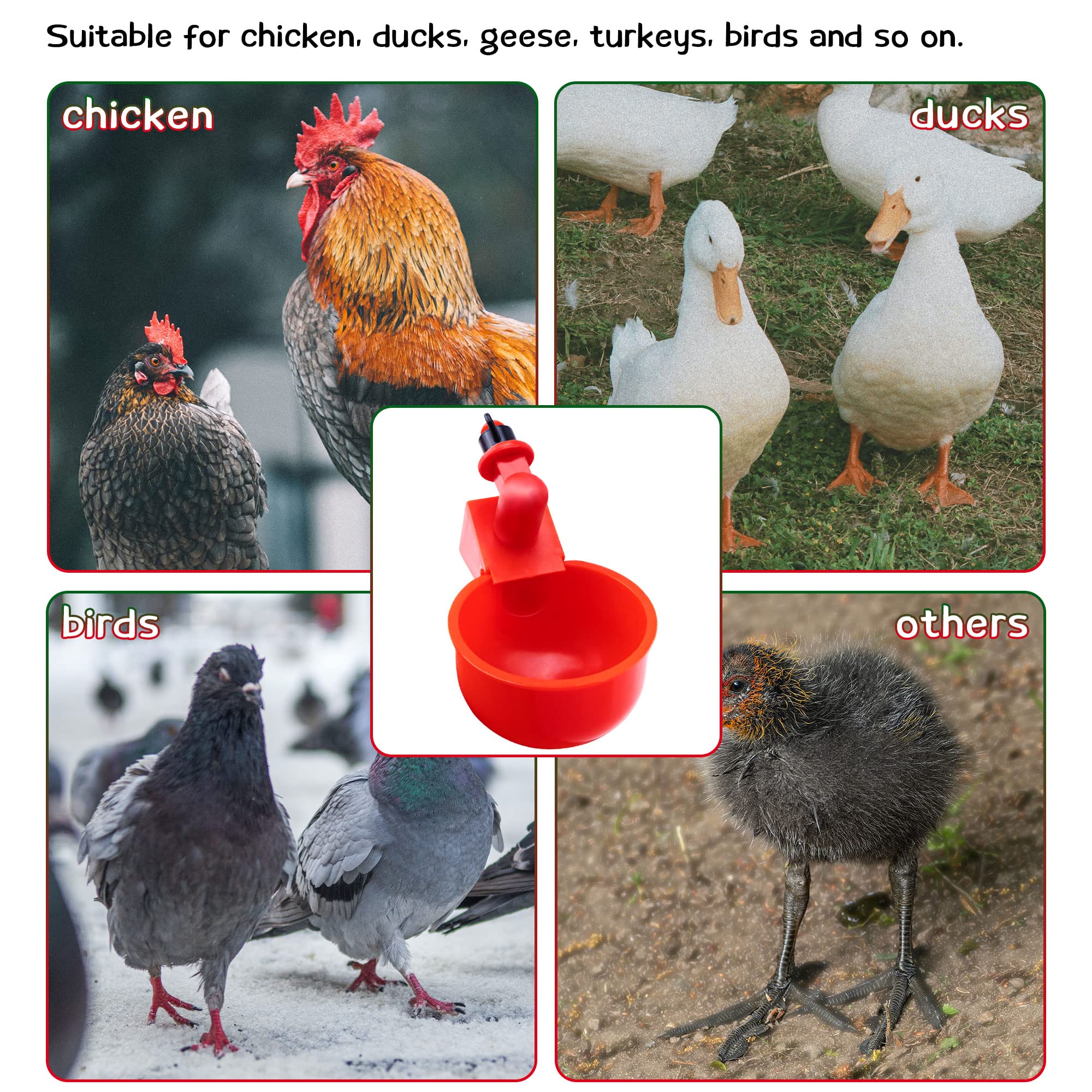 (🔥Last Day Promotion-SAVE 65% OFF)🔥Automatic Chicken Water Cup Waterer Kit -BUY 10 GET 10 FREE & FREE SHIPPING