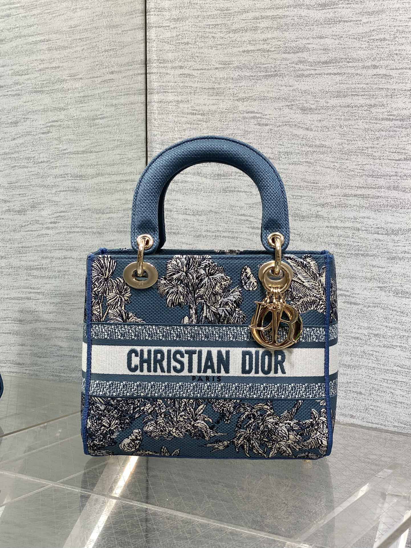 Dior Lady Summer Collection Embroidered Lady Bag