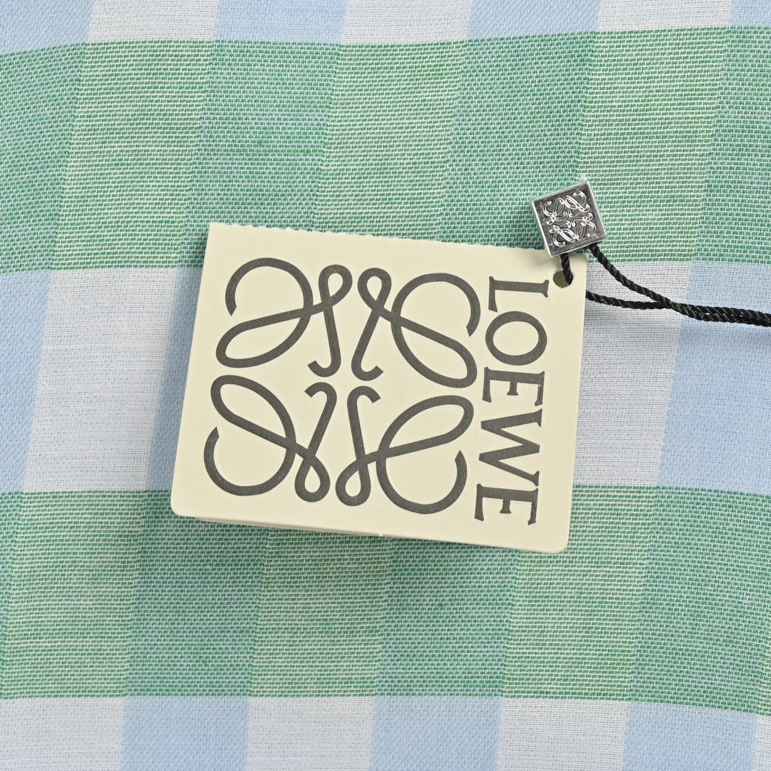 Loewe 24Fw mint mambo green check shirt