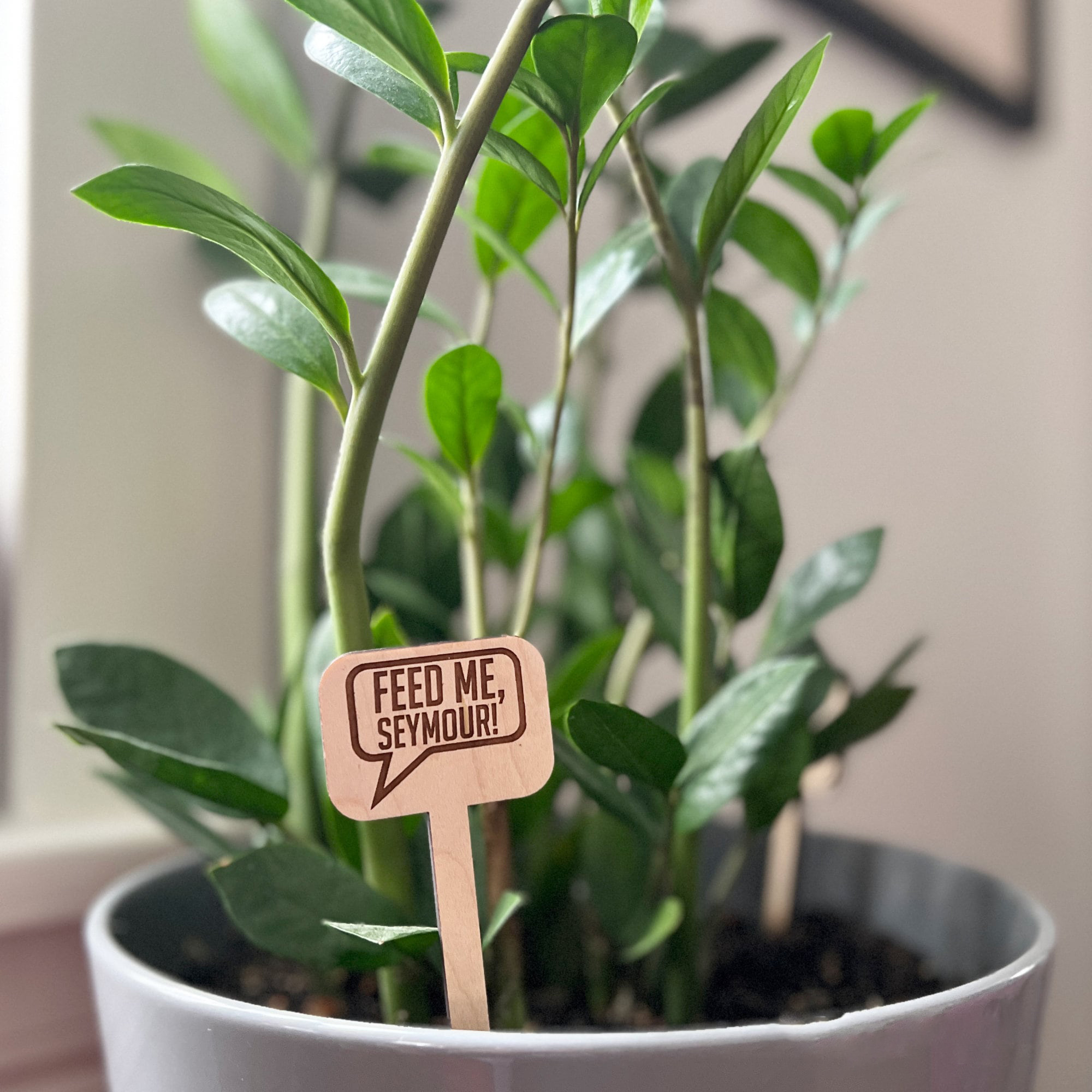 Woodplant Stakes | cheeky wooden plant markers