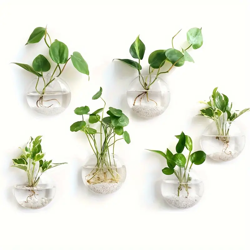 🌺🌺Creative Hanging Wall Glass Vase