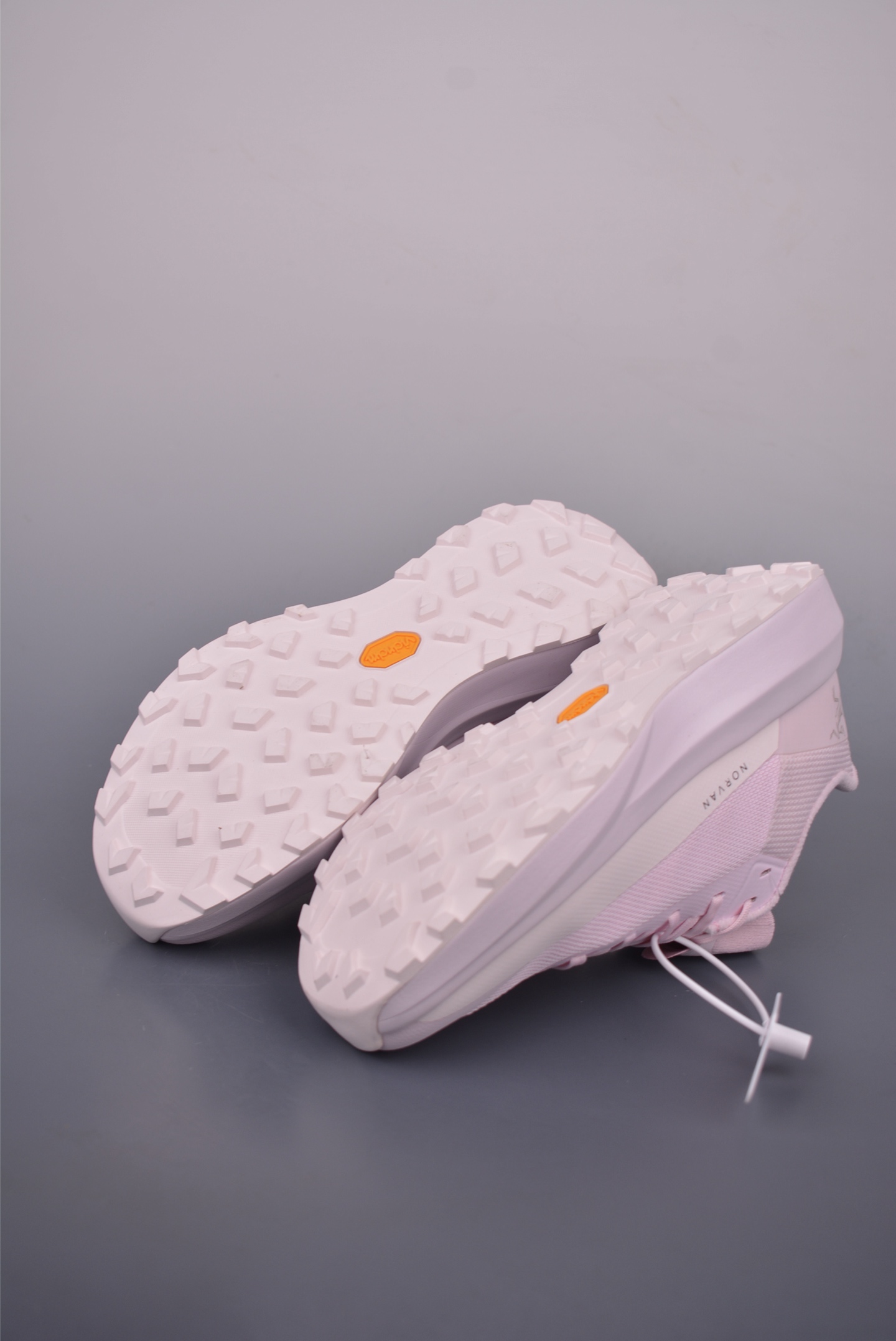Arc'teryx Norvan LD 4 Running Shoes 