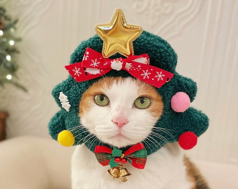 Handmade fleece Christmas Tree Costume Hat for Cat Dog