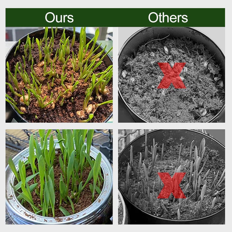 🔥Hot Sale Promotion 49% OFF - Organic Coconut Coir for Plants