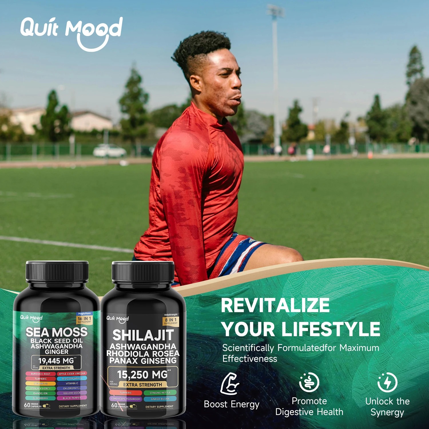 Sea Moss Gel – Made in USA – Wildcrafted Seamoss & Jarred Vegetables – Original, Pack of 1 (Labels may Vary)