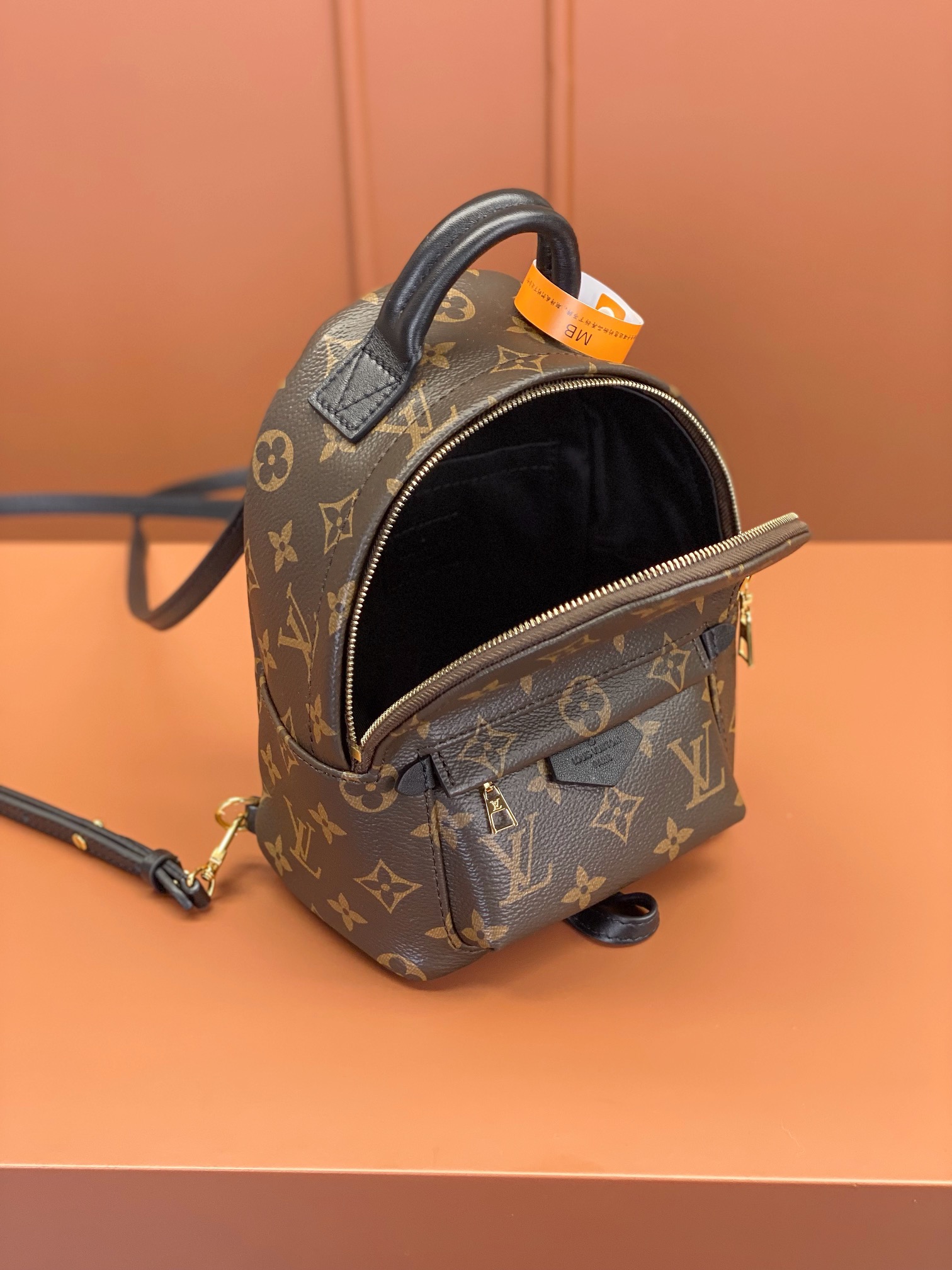 Louis Vuitton PALM SPRINGS Mini Backpack M44873