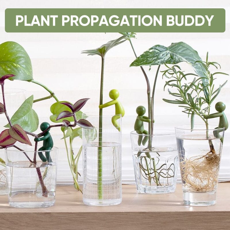 🔥Hot Sale Now - 50% OFF🔥💥3-Pack/Set Plant Cuttings Support & Propagation Buddy