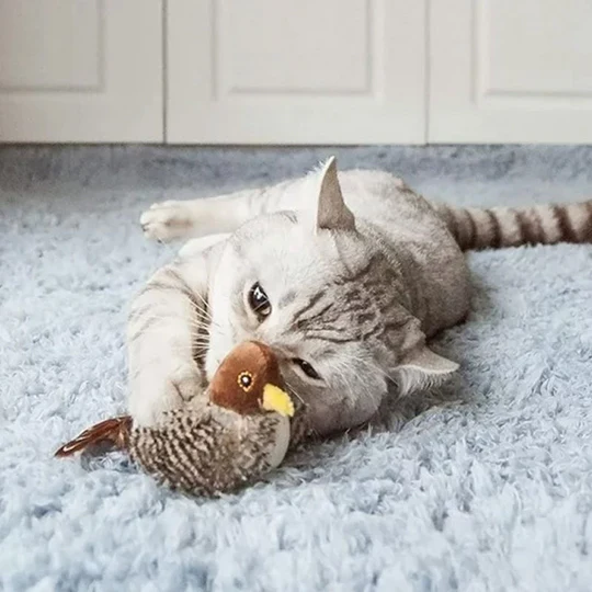 HOT SALE🔥😺Cat Toys - Analog Chirping Birds
