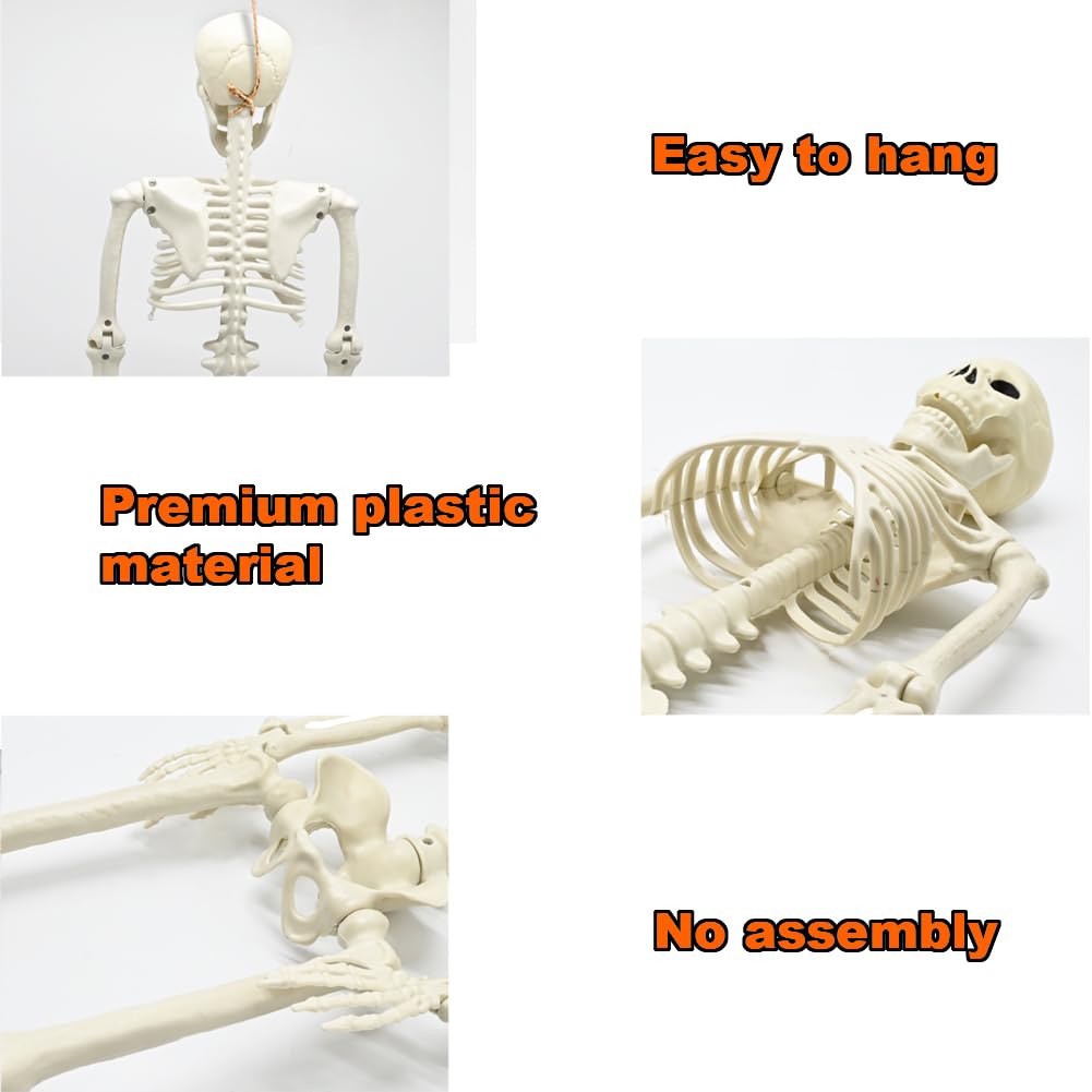 🔥Limited-Time Halloween Offer!🔥Full Body Posable Skeleton Realistic Human Bones