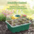 Adjustable Humidity Seed Starter Trays with Grow Light