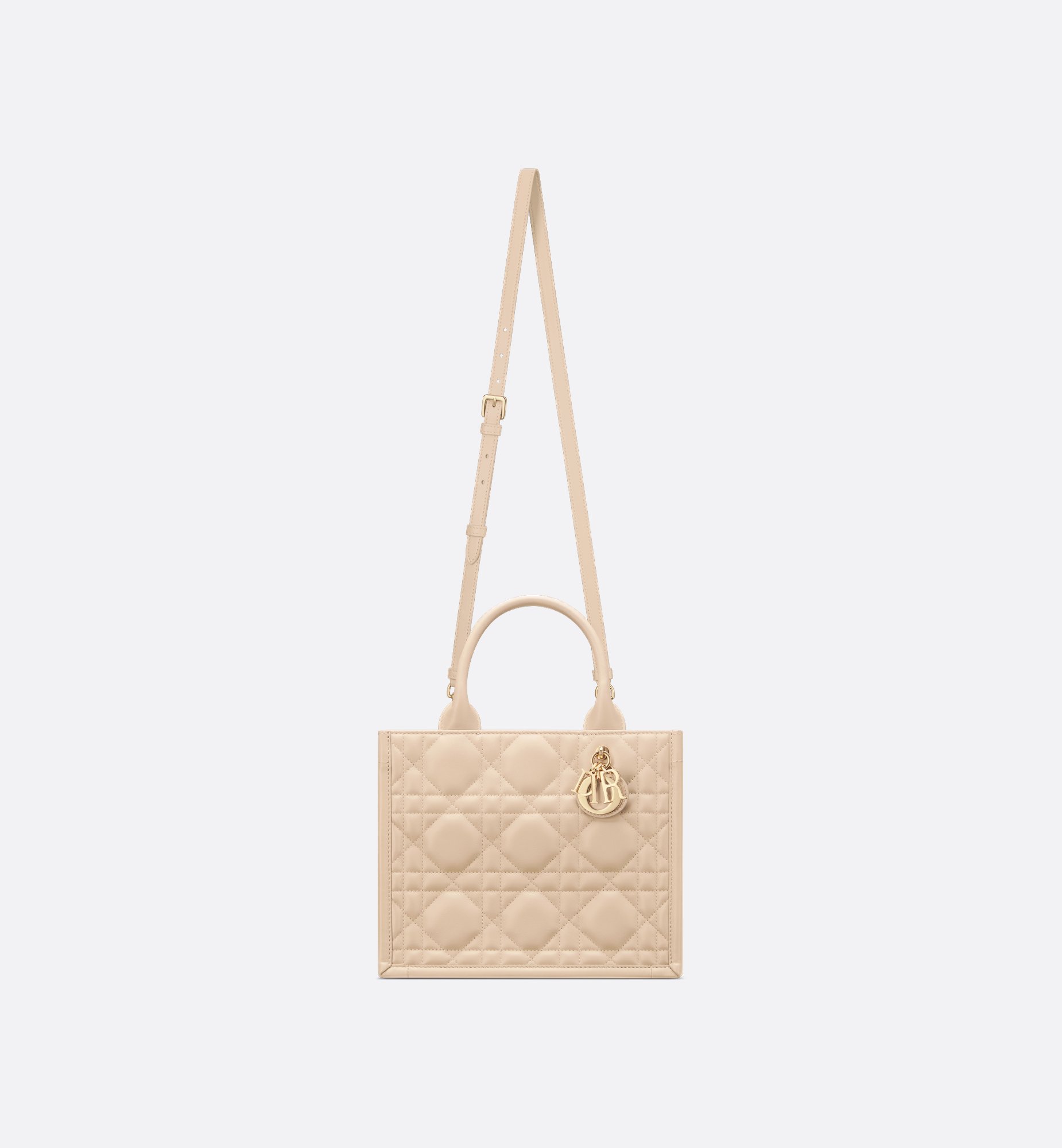 Dior Small Book Tote Bag M1325OWHP_M51U