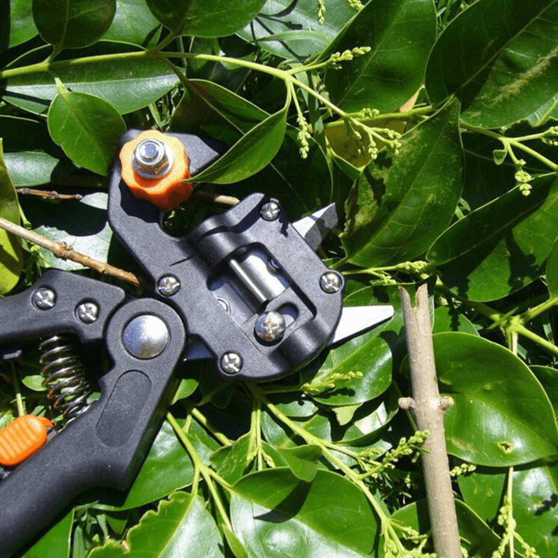 🔥Last Day Promotion - 50% OFF🔥 Professional Garden Grafting Tool Kit-Buy 2 Get 10% Off & Free Shipping