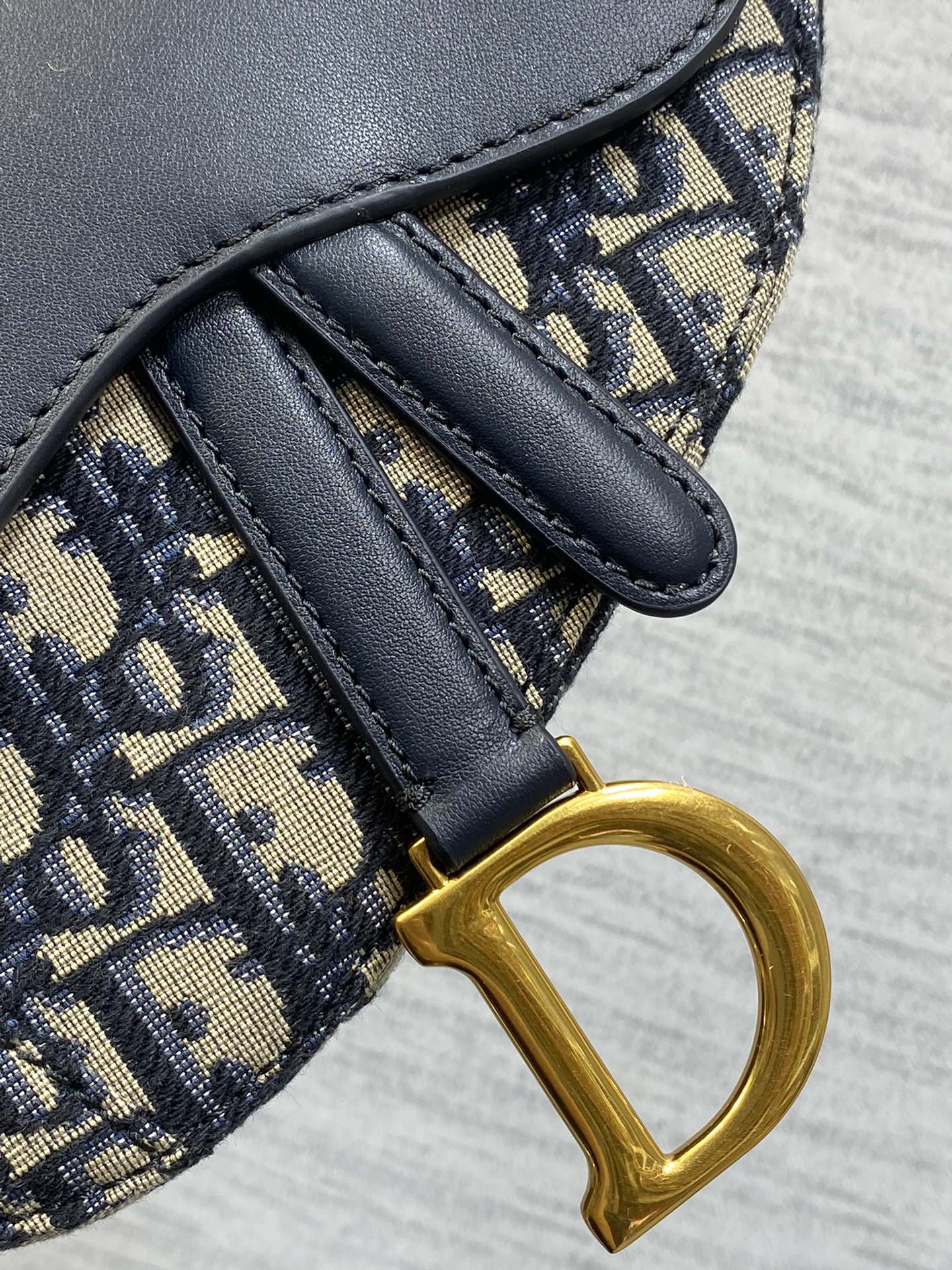 Dior Saddle Series Saddle Bag