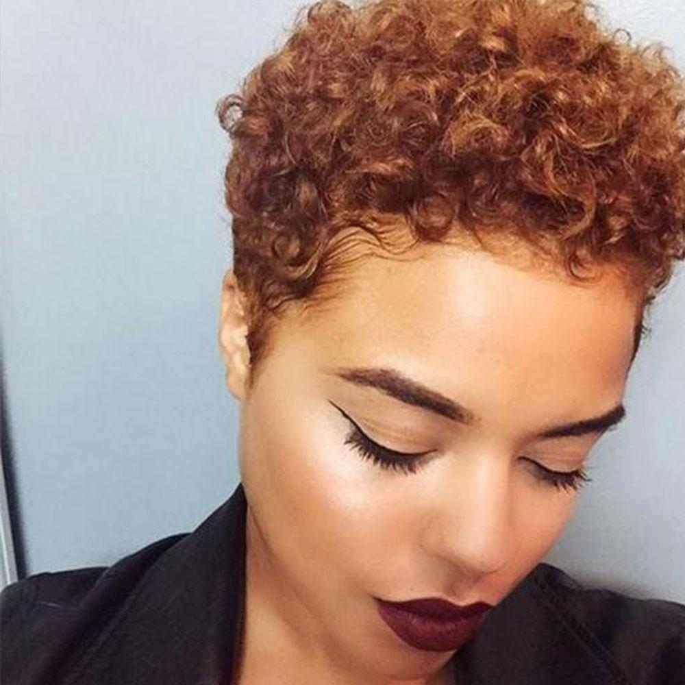 Luna 022 Women Afro Short Curly Hair Wig without Bangs