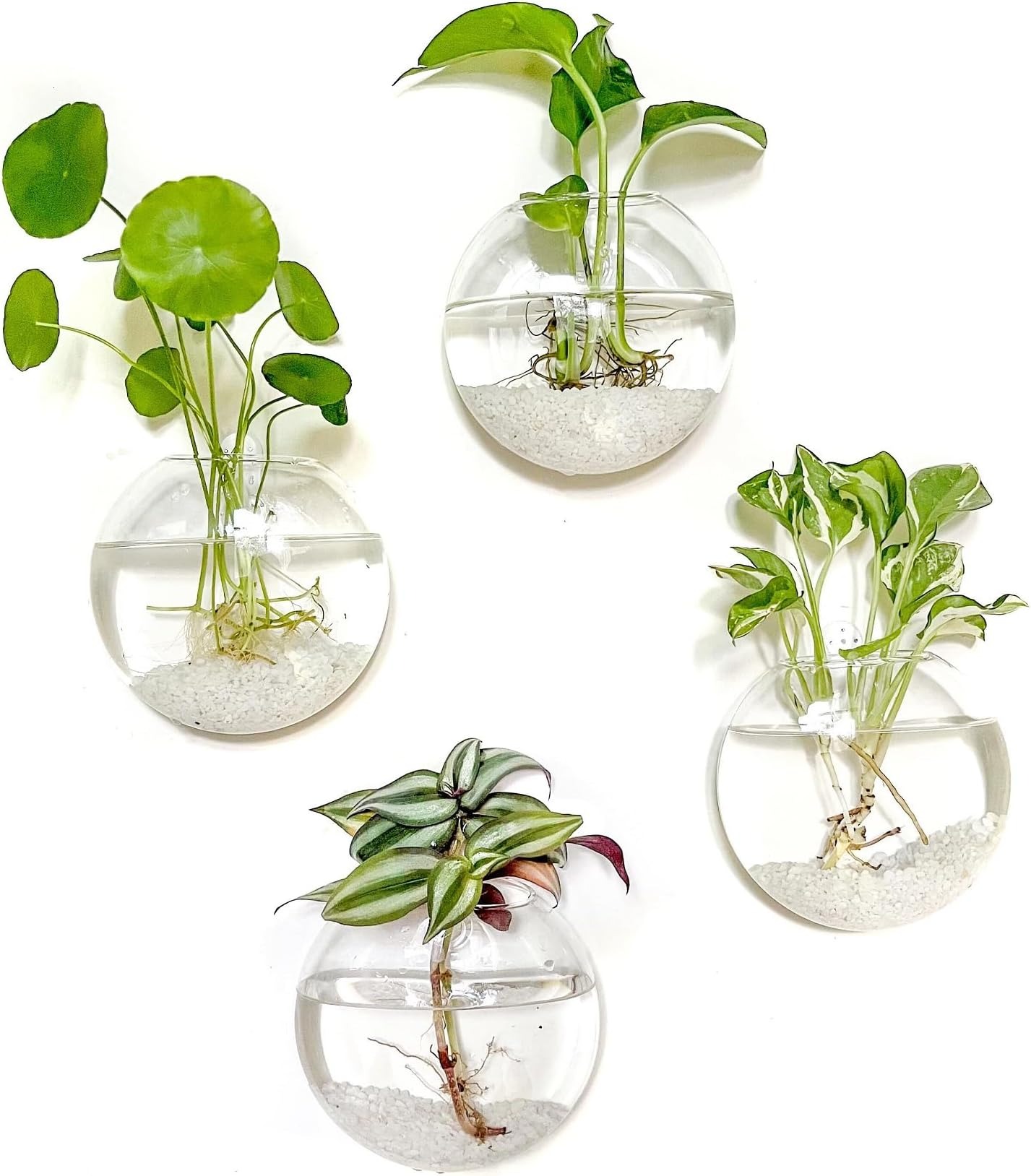 Wall Hanging Planter Propagation Station Glass Flower Vase
