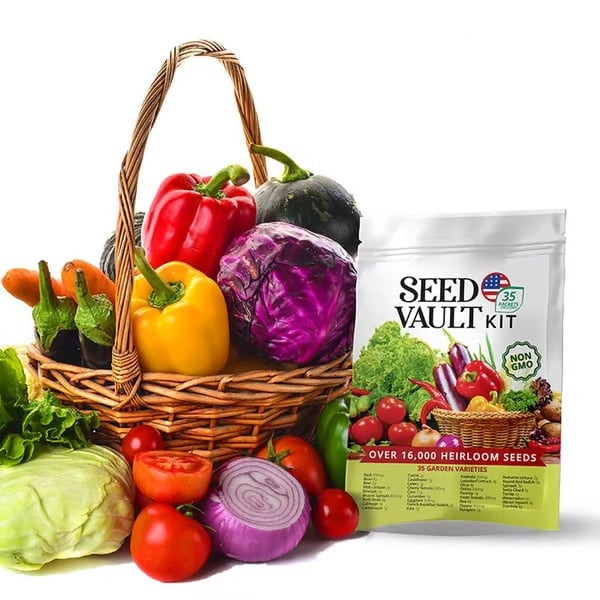 Easter Special🪴-Vegetable Seed Vault Kit | 35 Variety Pack