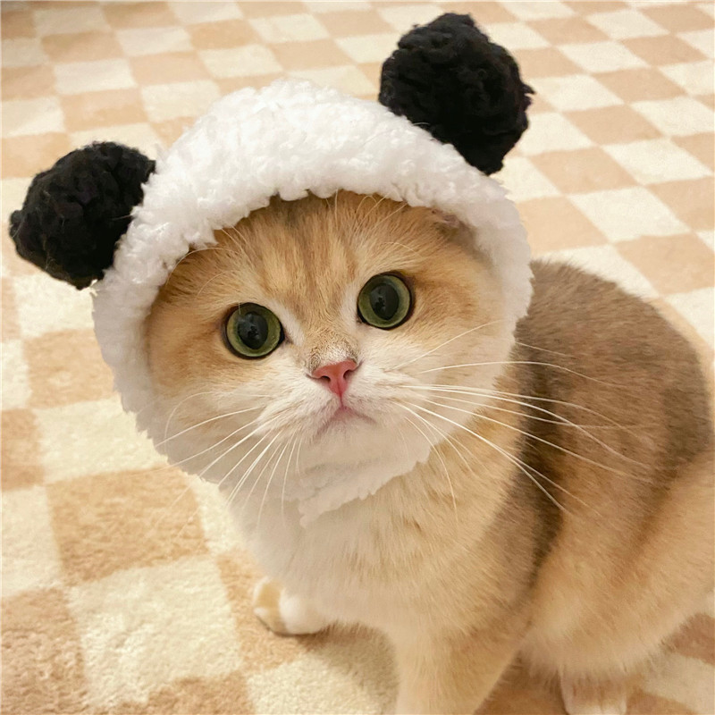 2024  King Cat Costume🔥(Last Day to Sell)