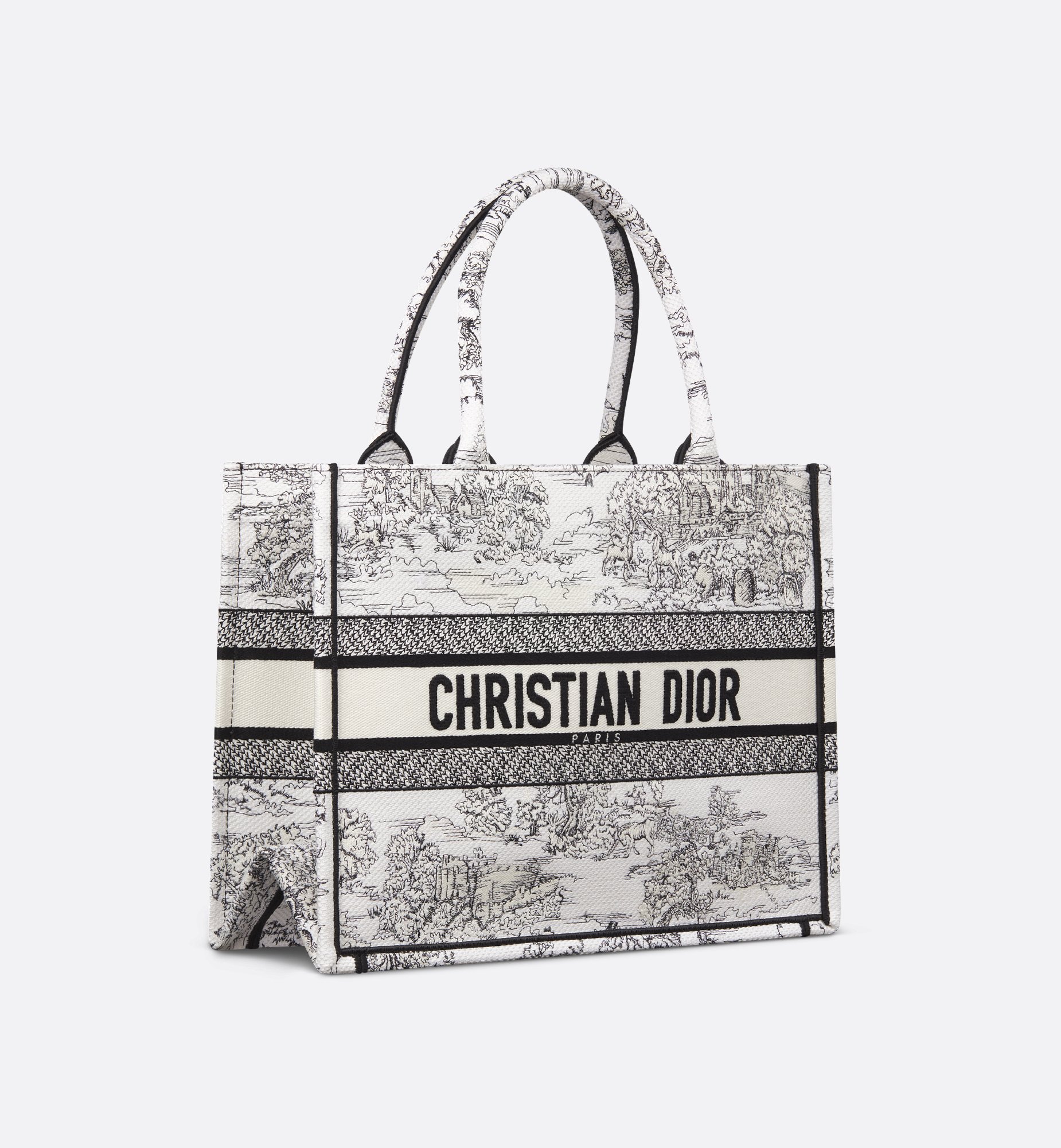 Dior Medium Book Tote Bag M1296ZEDR_M041