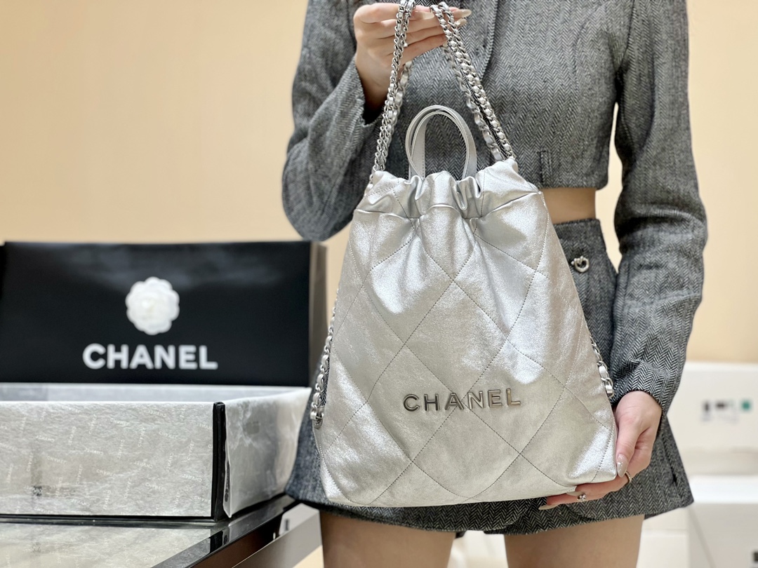 Chanel 2022cc Spring/Summer Collection Handbag AS3859