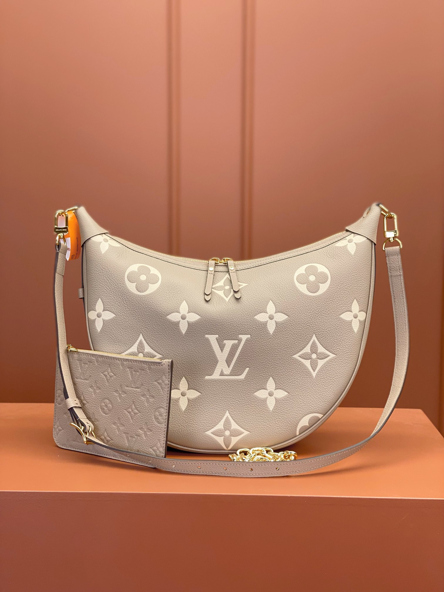 Louis Vuitton LOOP HOBO Handbag M46738