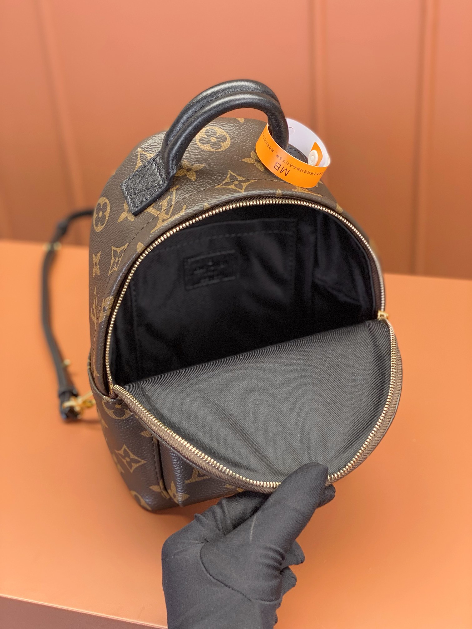 Louis Vuitton PALM SPRINGS Mini Backpack M44873