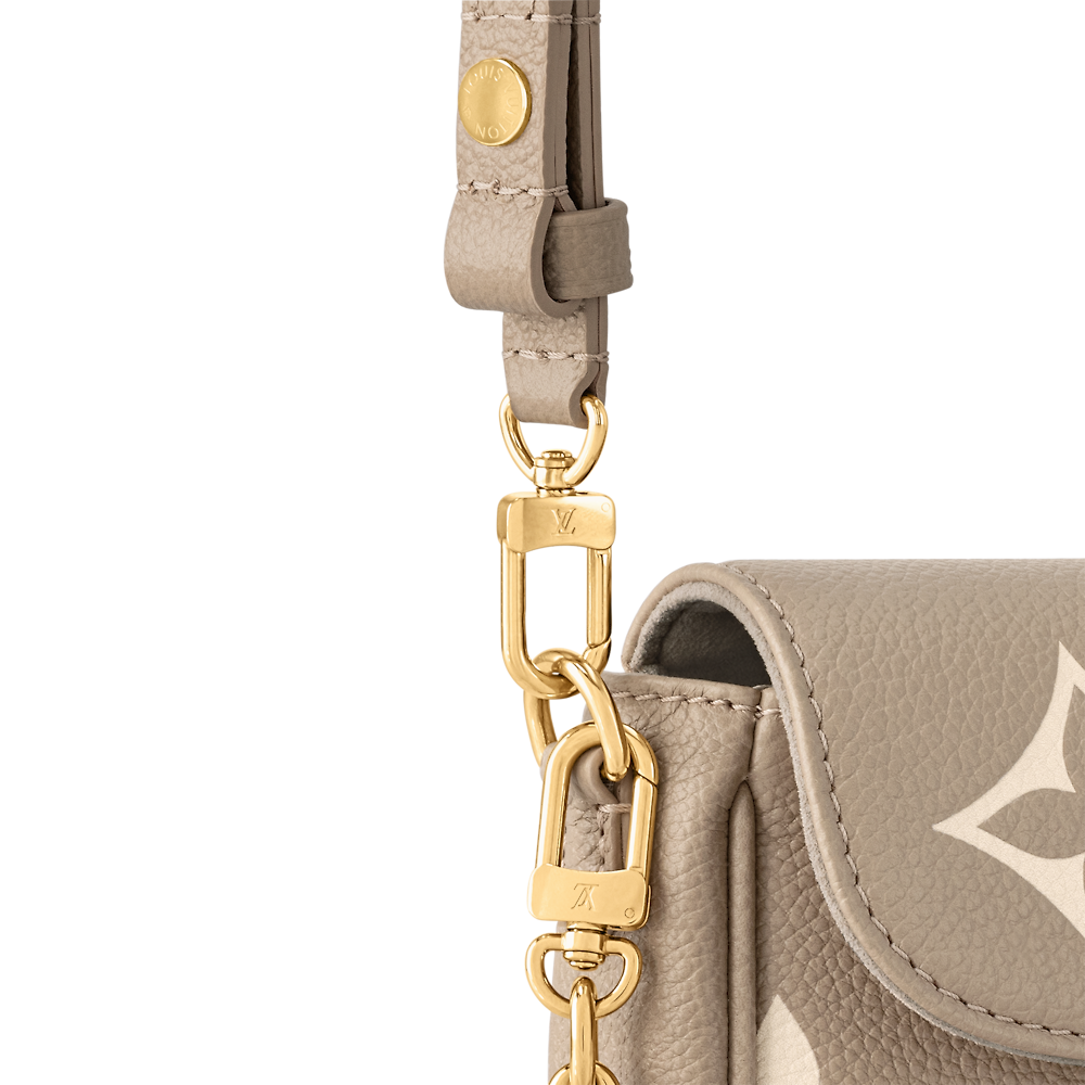 Louis Vuitton WALLET ON CHAIN ​​IVY Bag M12758