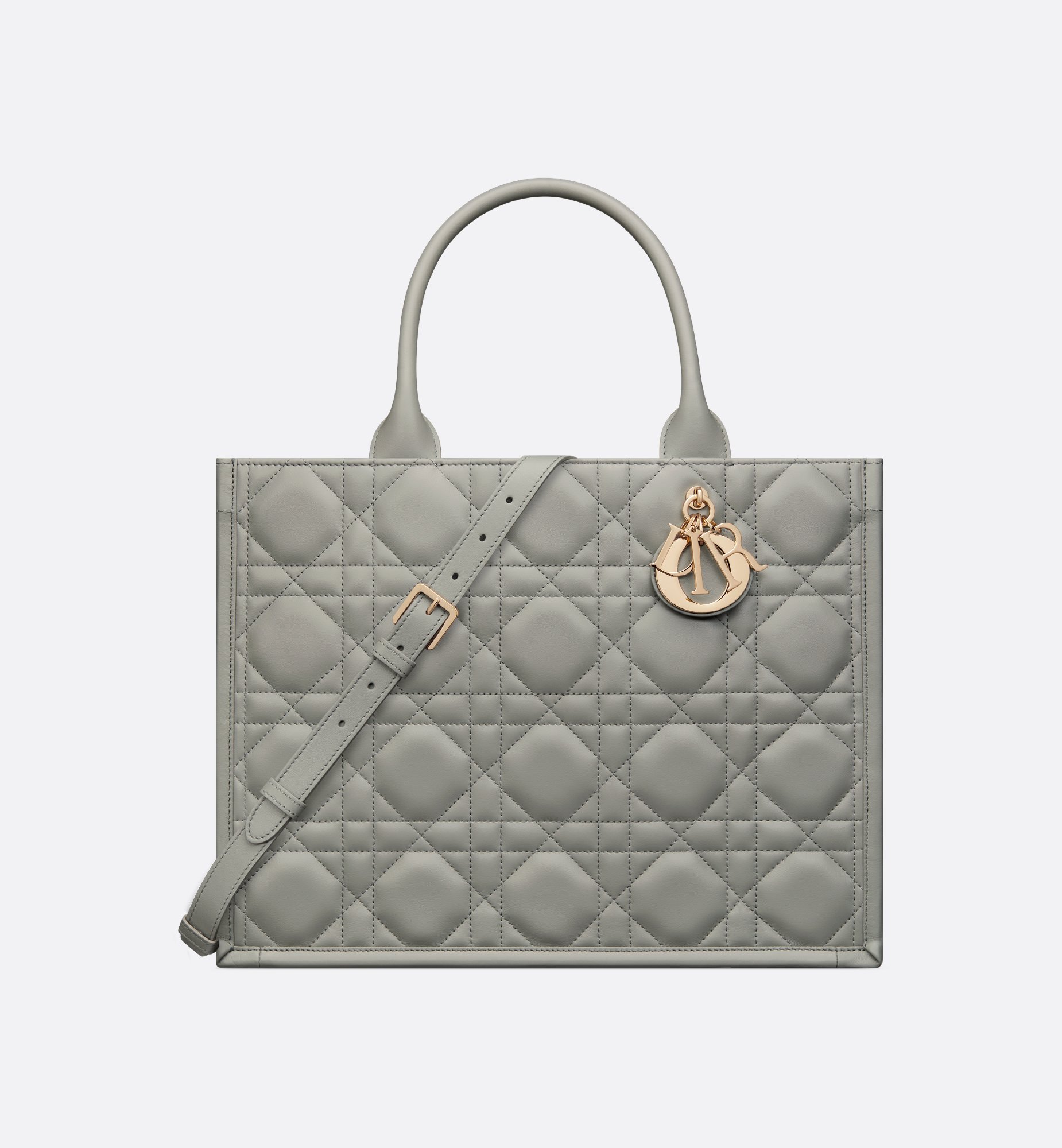 Dior Medium Book Tote Bag M1324OWHP_M41G