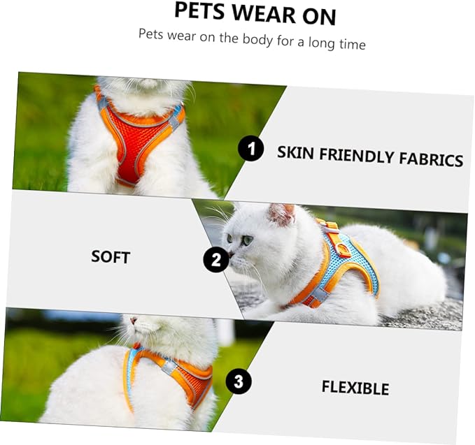 Cat Harness & Leash