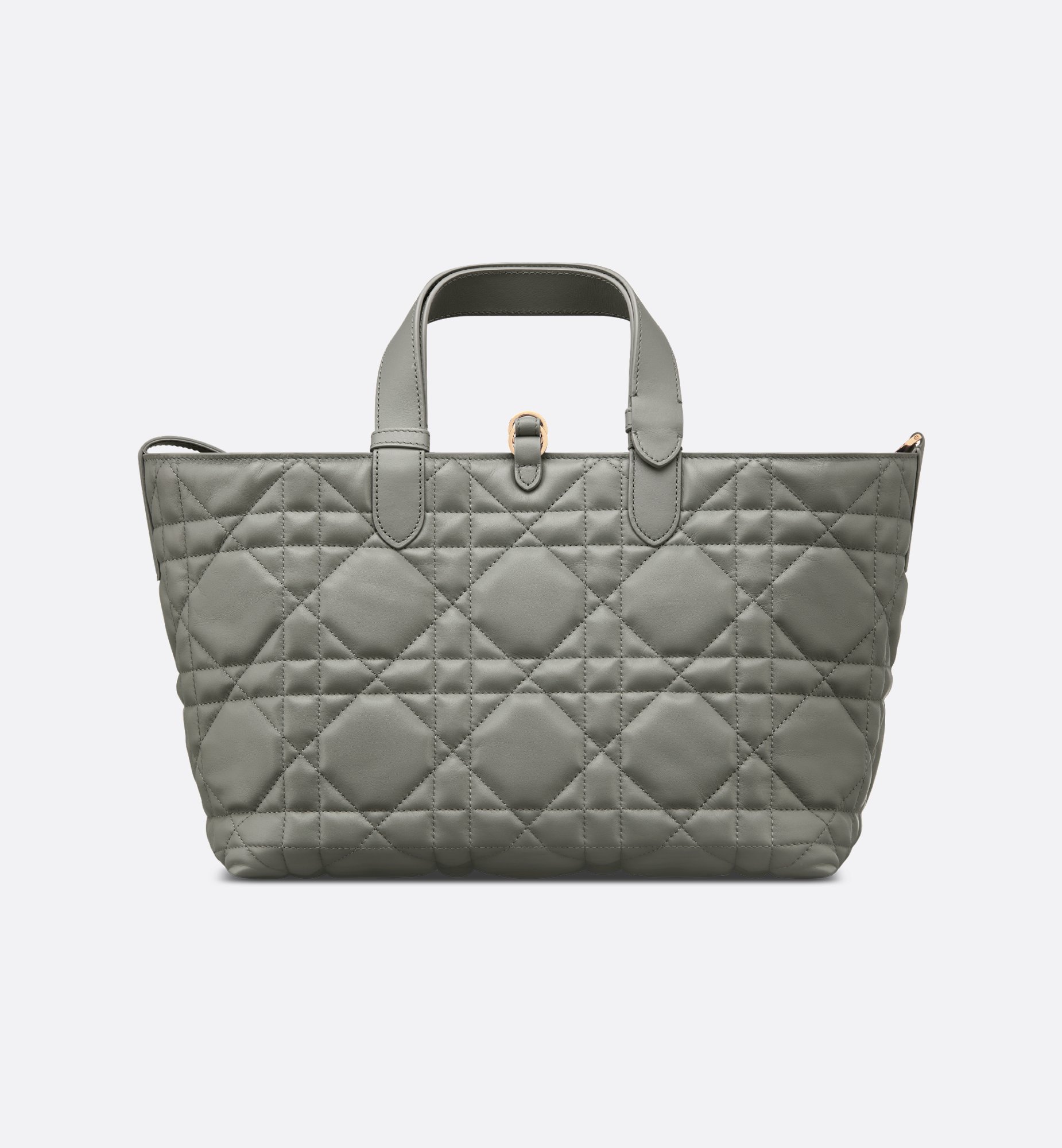 Dior Medium Dior Toujours Bag M2821OSHJ_M41G