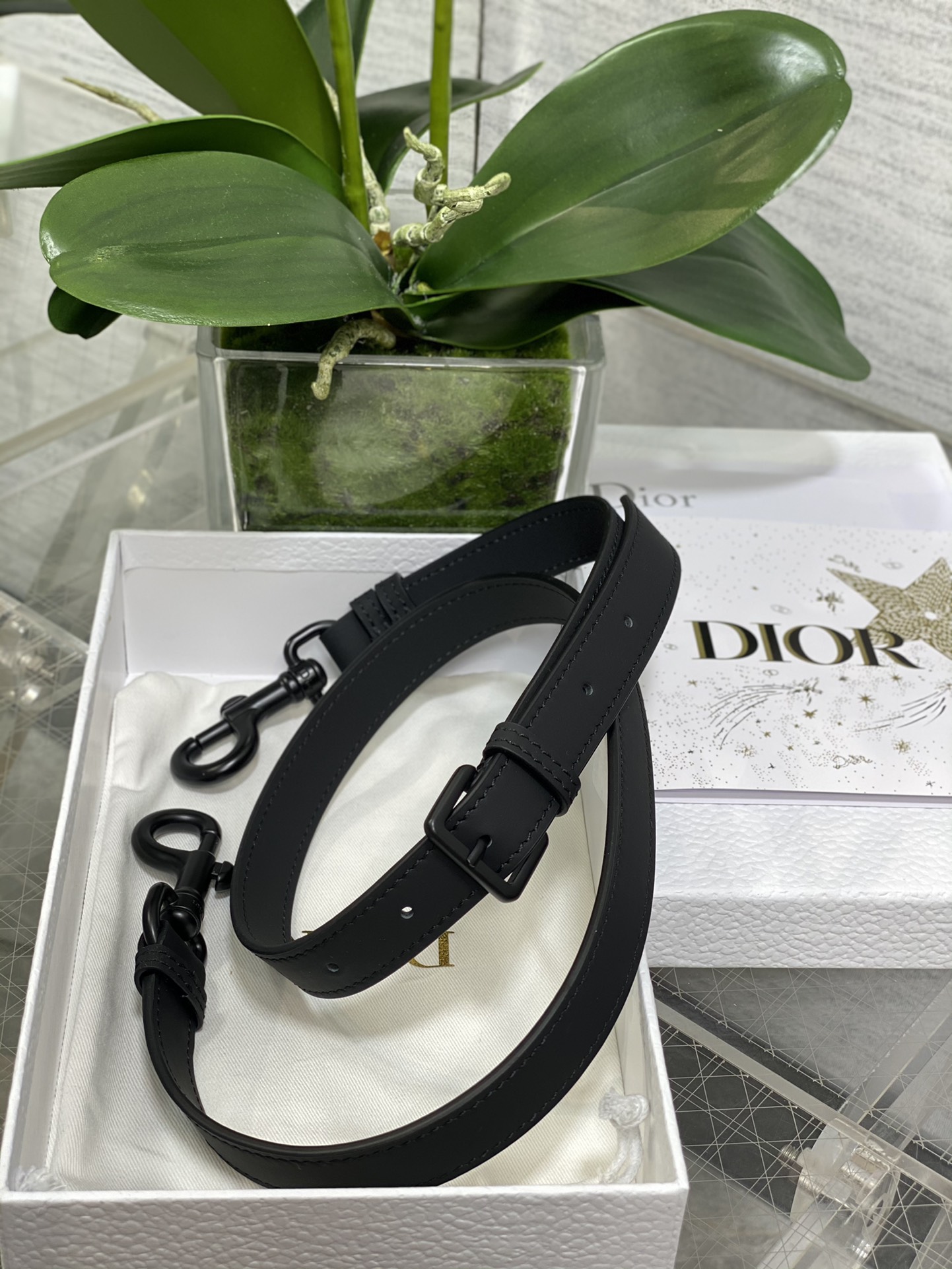 Dior CD Saddle Classic Saddle Bag
