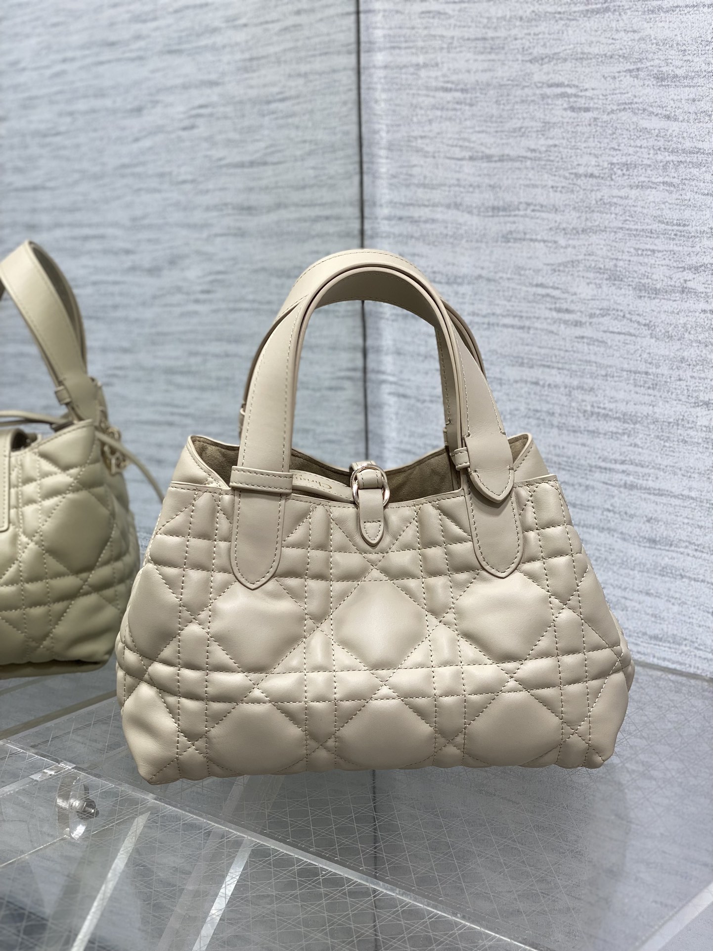 Dior Toujours Small Bag