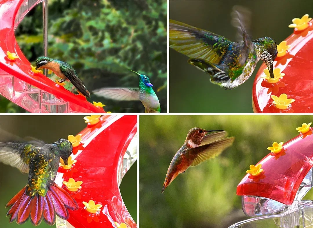 💥Pre-Sale💥 - DNA Helix 32-Port Hummingbird Feeder