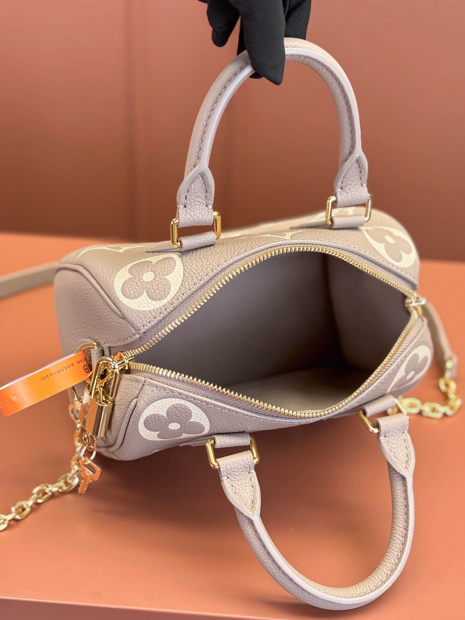 Louis Vuitton SPEEDY BANDOULIÈRE 20 Handbag M46575
