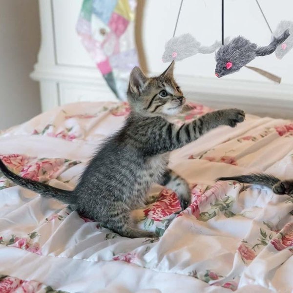 🔥 Last Day Promotion[49% OFF]-Hanging Door Bouncing Mouse Cat Toy-BUY 5 GET 3 FREE--FREE SHIPPING