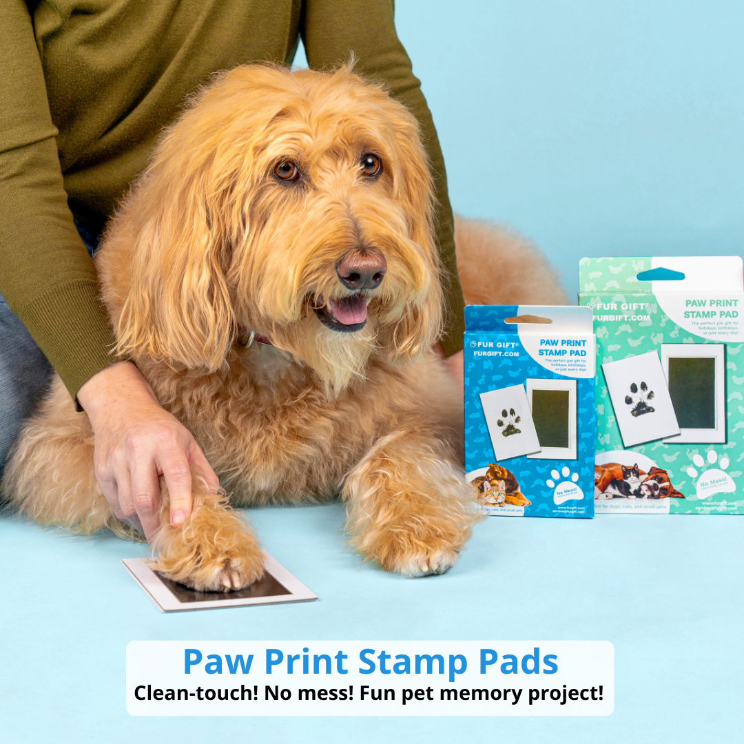 🐶Summer Hot Sale - 49% OFF 🐱Paw Print Stamp Pads