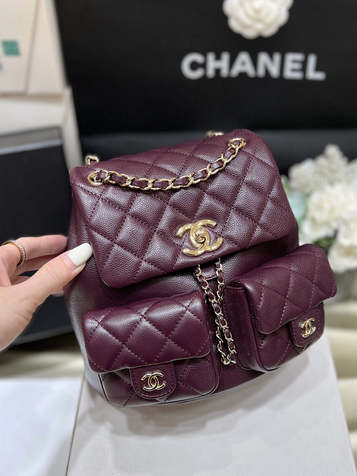 Chanel 24A duma double backpack 3860