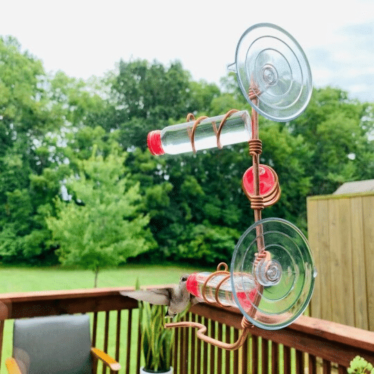 Modern 3 Station Window Hummingbird Feeder