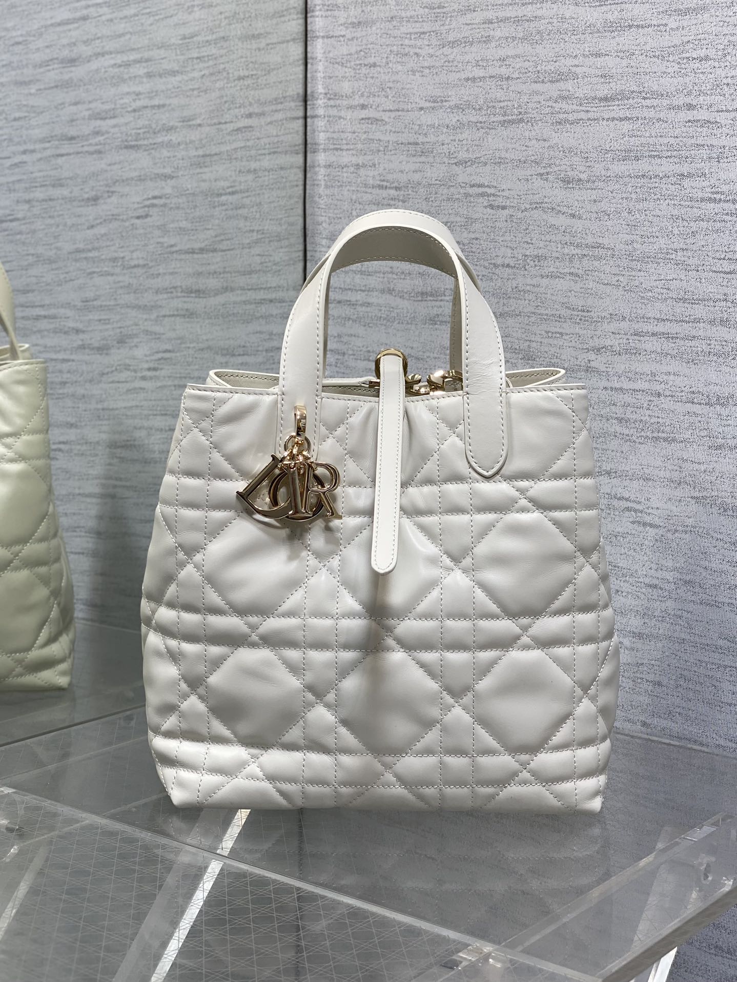 Dior Toujours Vertical Series Mediumv