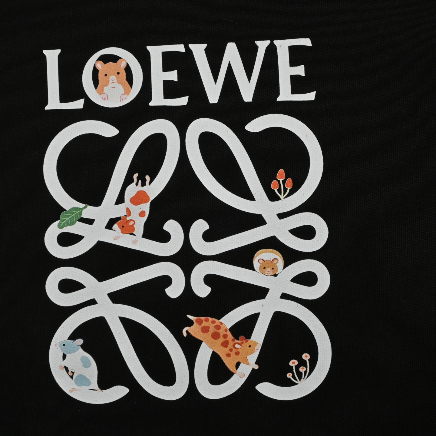 Loewe 25ss short sleeves with printed logo on chest