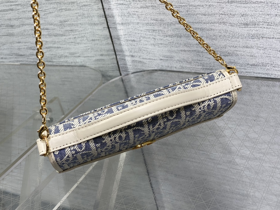 Dior 30 Montaigne Cigale Chain Bag