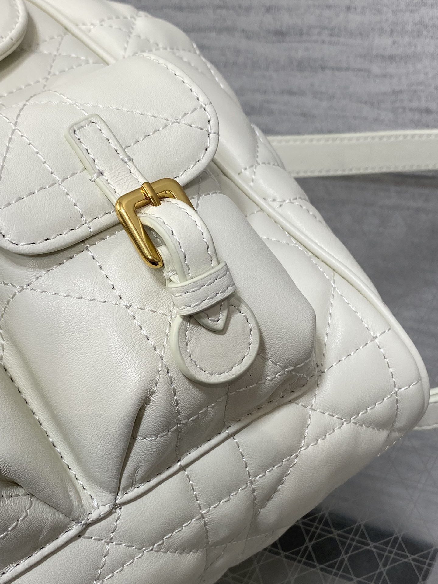 Dior Caro Fall/Winter Backpack