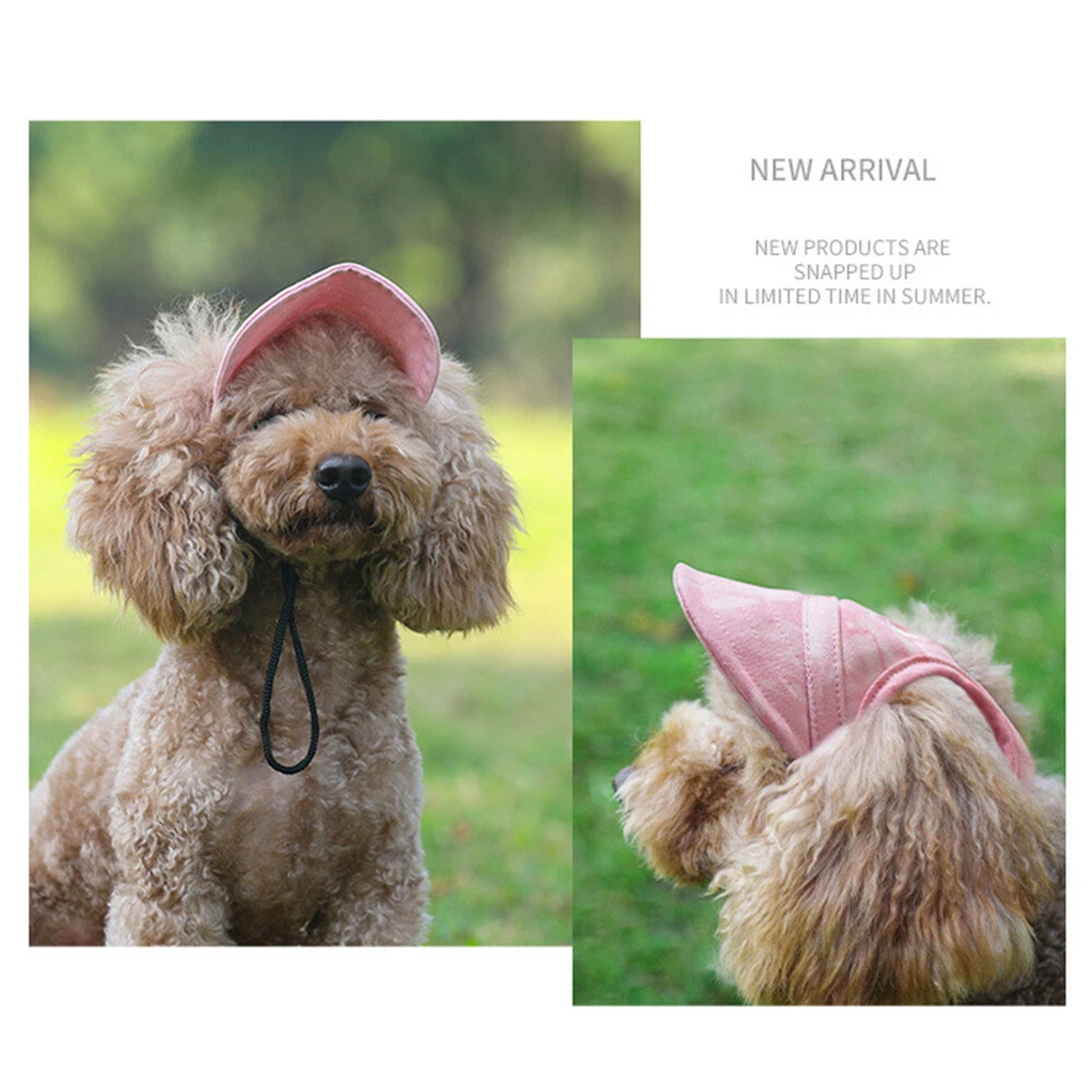 👍Last Day Promotion 50% OFF💥Outdoor Sun Protection Hood For Dogs!!!